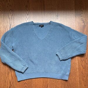 Quince Women's Sky Blue V-Neck Cotton Sweater